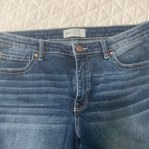 Womens BKE Gabby jeans 31x291/2